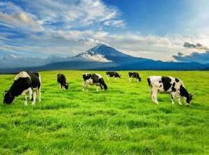 دستگاه آب شیرین کن در دامداری ها